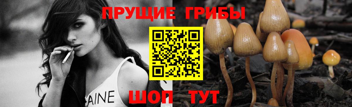 Псилоцибиновые грибы ЛСД Геленджик